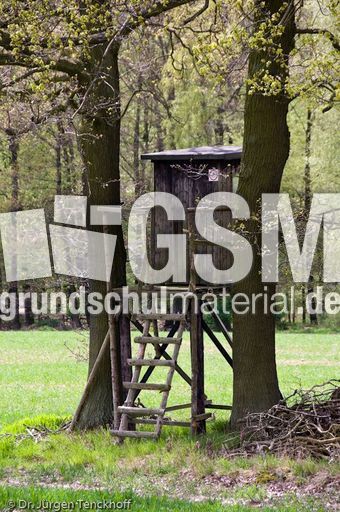 Hochstände (98 von 154).jpg